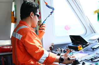 海事处技术服务中的信息技术咨询服务